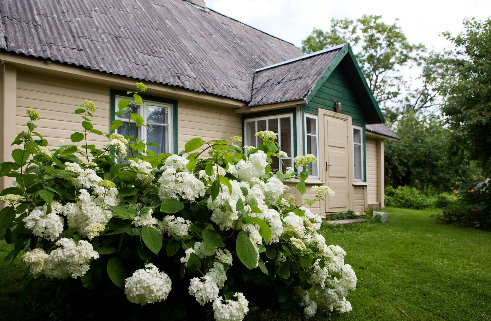 С какой стороны ни посмотри, с сугубо финансовой точки зрения владение дачным домом – не лучшая идея. Как ни старайся, ты будешь приезжать на дачу в лучшем случае один месяц в году.