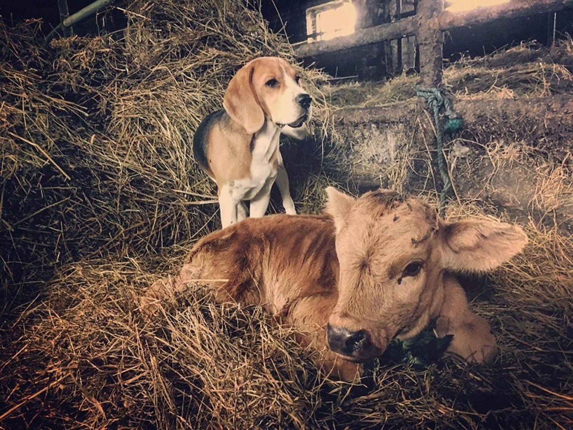 Rahvahääletusel tuli ülekaalukalt võitjaks Katrina Kõivsaare foto.