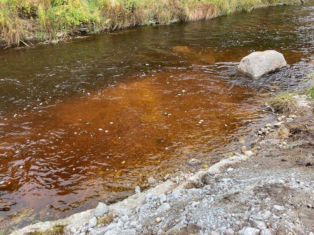 Üks Vääna jõel rajatud kudeplatsidest.