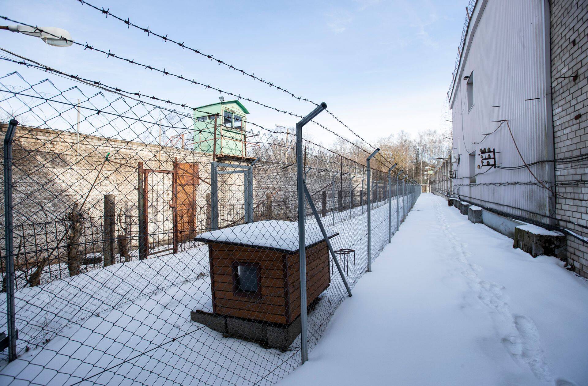 Perimeeterkoerte tööala.