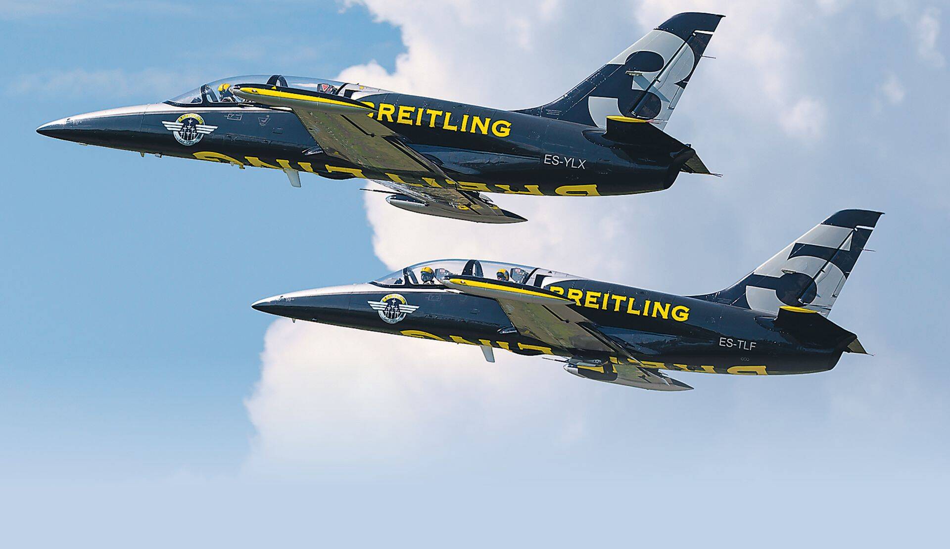 Французская авиагруппа Breitling - самая крупная гражданская команда высшего пилотажа в Европе.