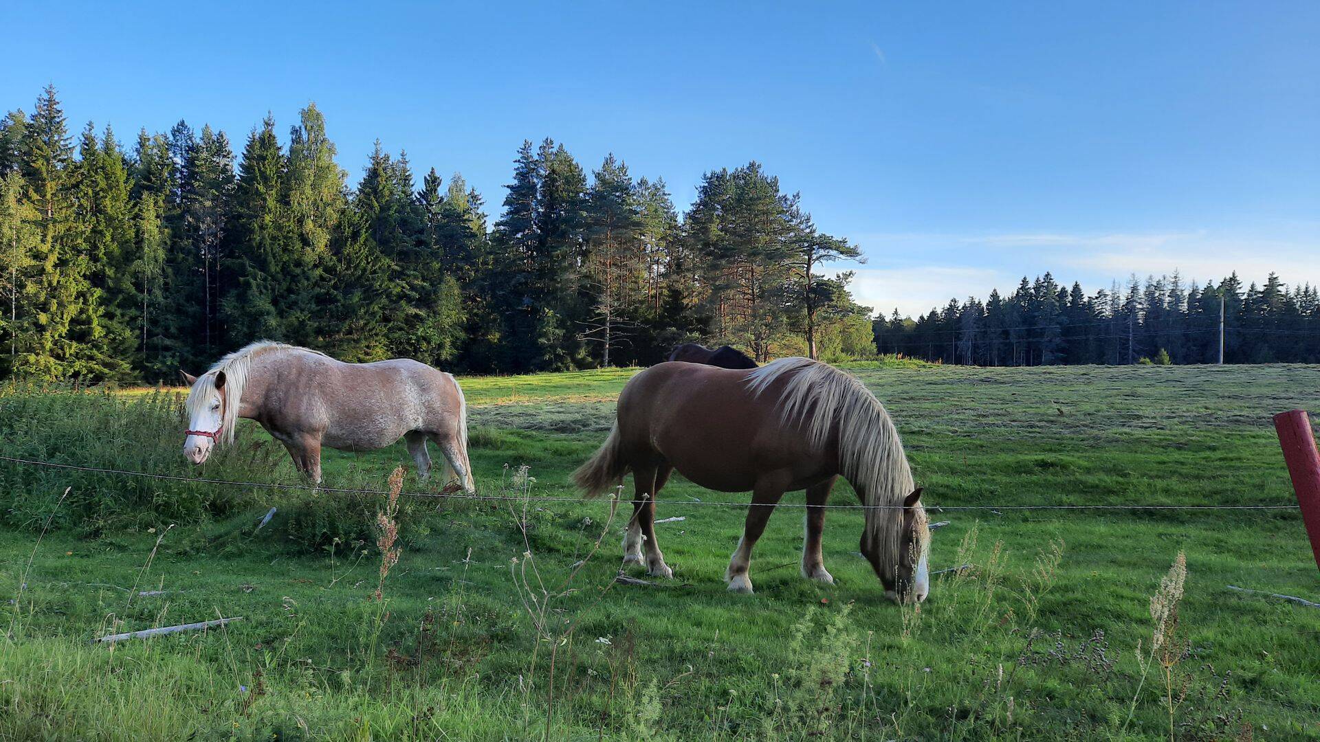 Projekt loob toimivaid loodussäästlikke praktikaid maaomanikele ning põllumeestele.