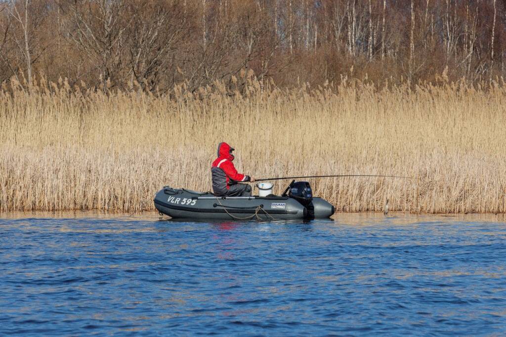 2021. aastal kehtivad päevalimiidid ahvenale, haugile, kohale, lõhele, forellile, latikale ja jõevähile.