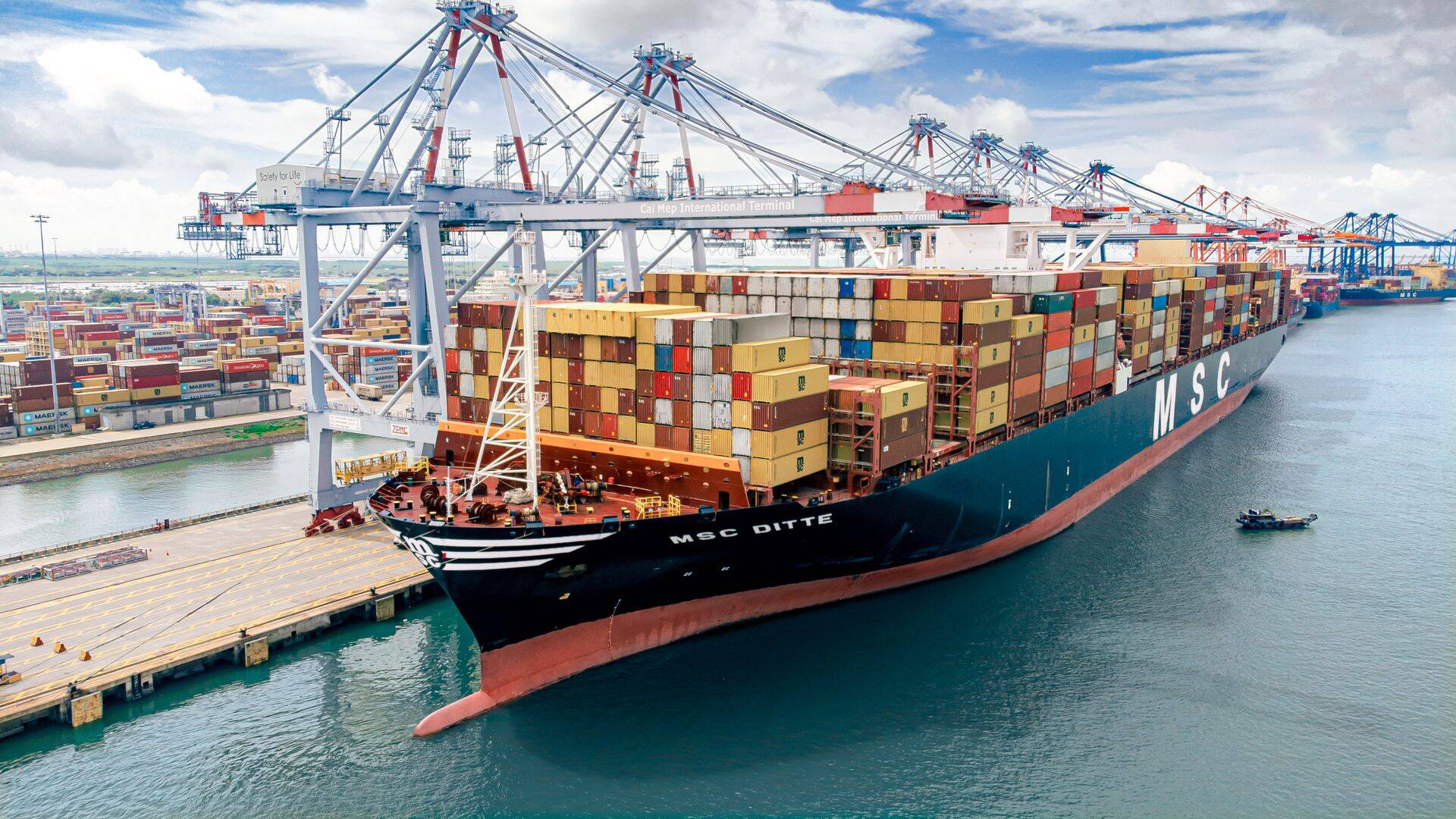 MSC Ditte (built 2016) 19 224 TEU at Cai Mep International terminal
