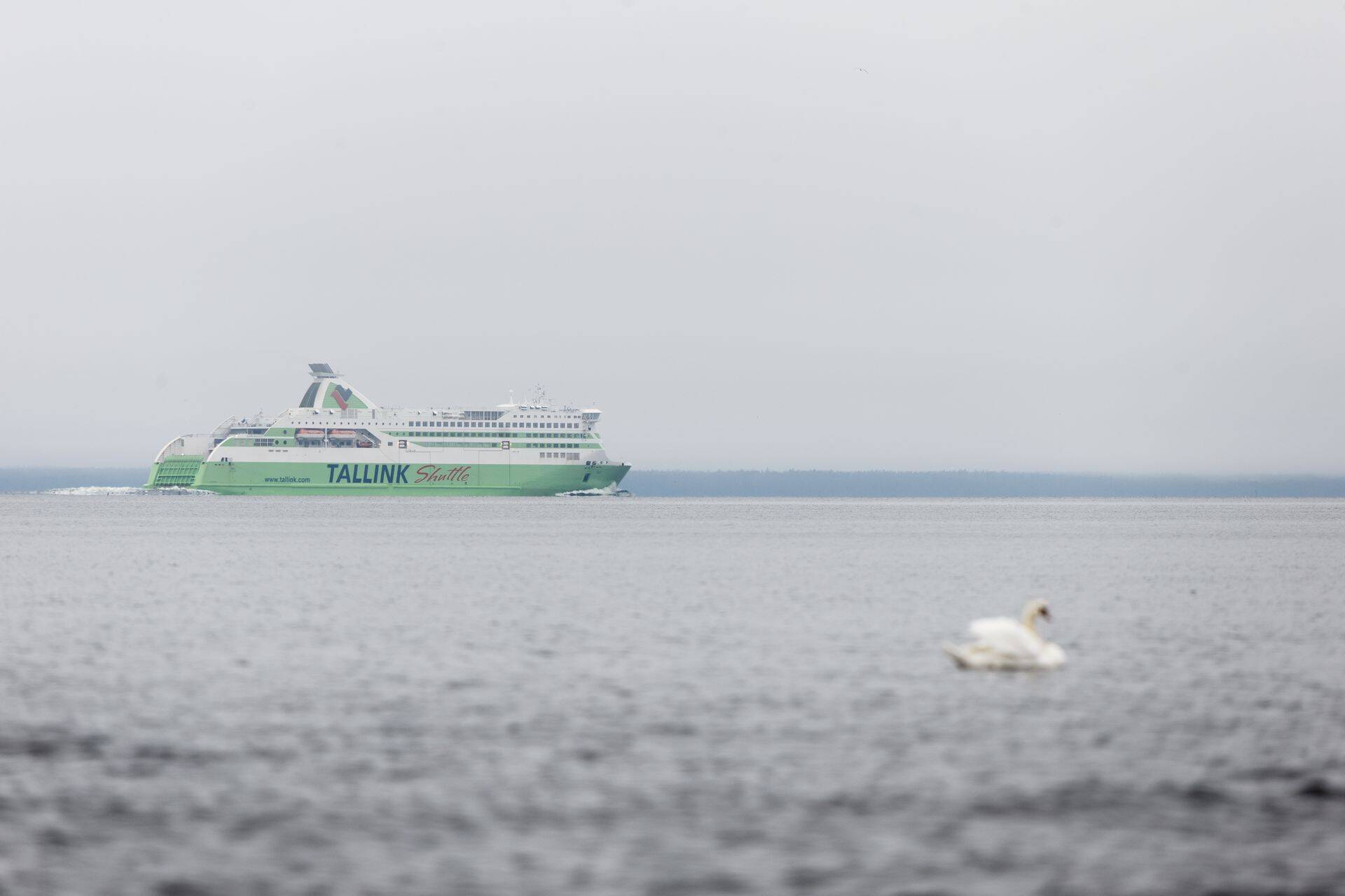 Tallinki laevad vedasid tänavu aprills vähem reisijaid kui aasta tagasi.