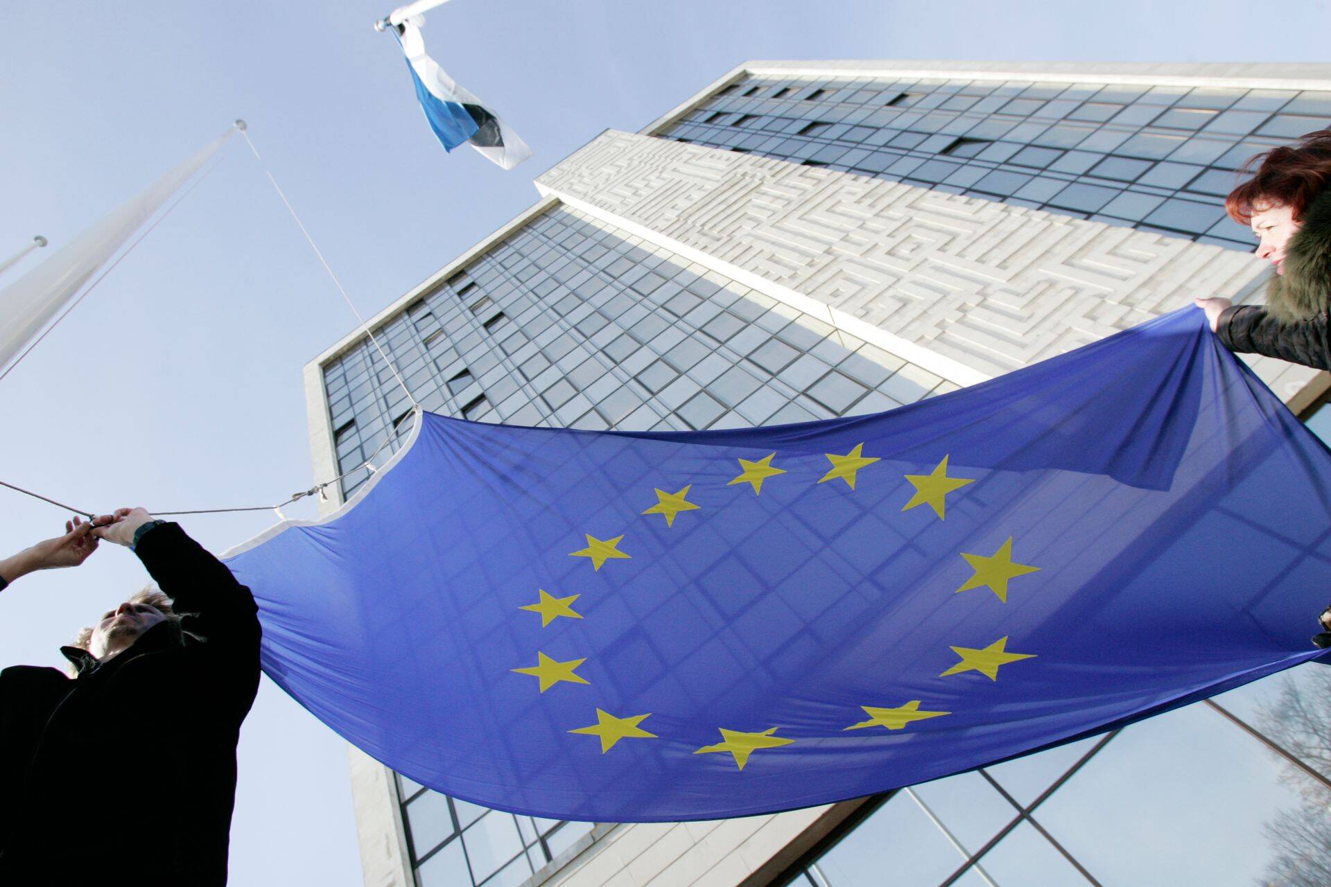 Euroopa Liidu lipp