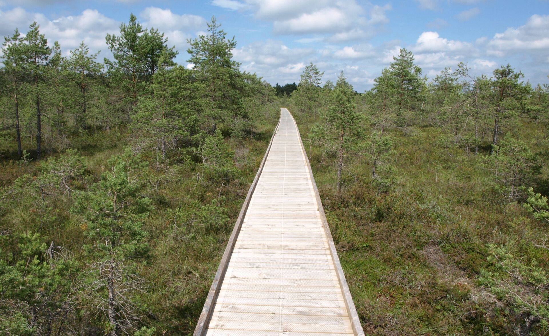 Toetust jagatakse ka rahvusparkide külastuskorralduslike materjalide koostamiseks.