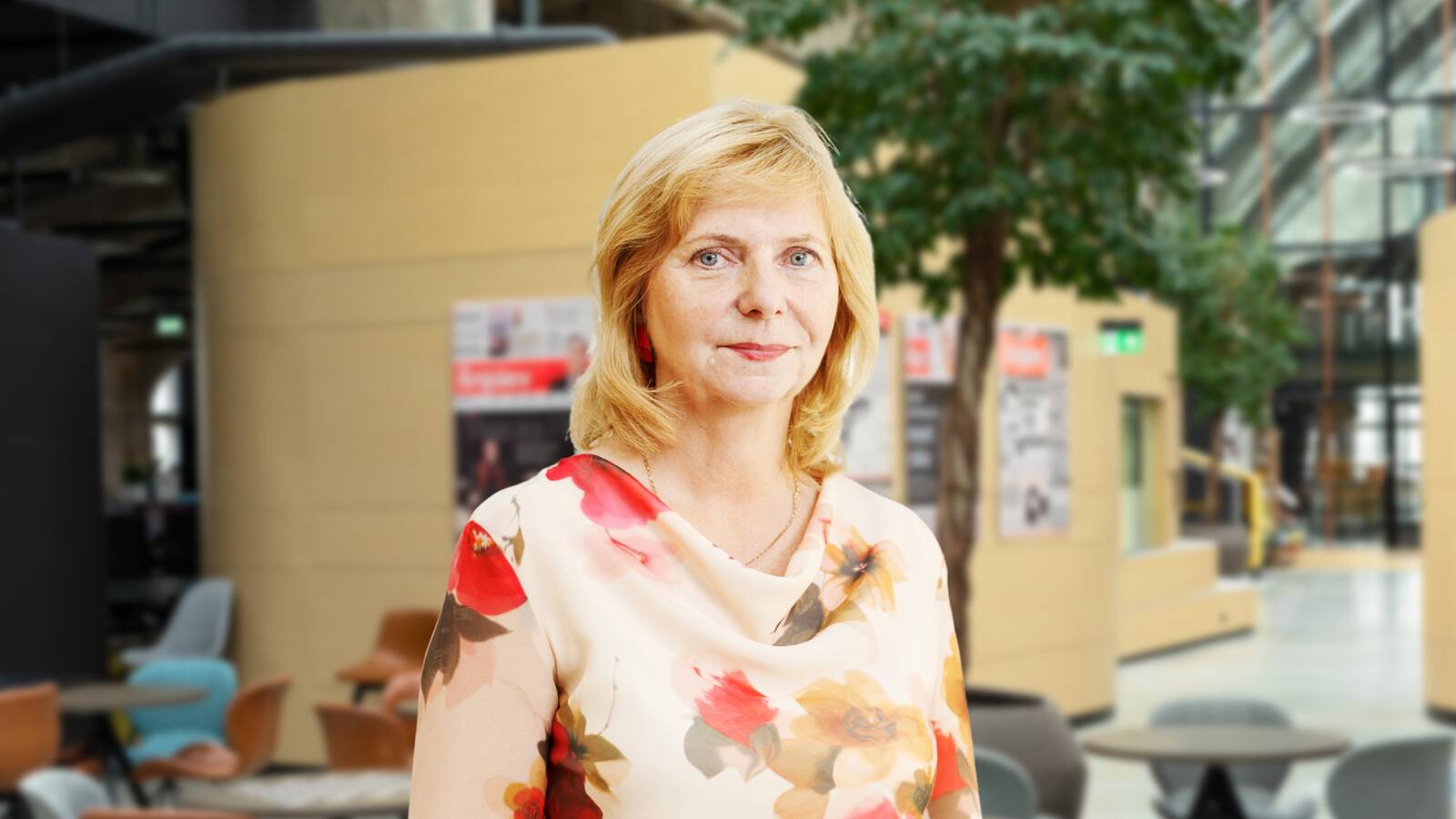 Aule Kindsigo, Maksunõustaja, Kindsigo Konsultatsioonid OÜ