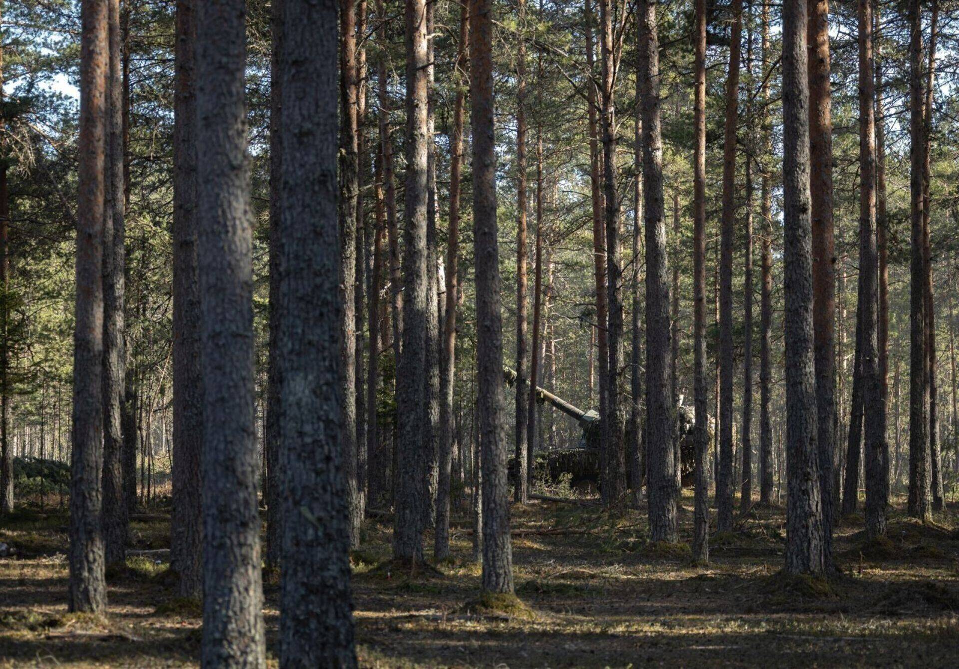 Лесные учения сил обороны. Фото иллюстративное.