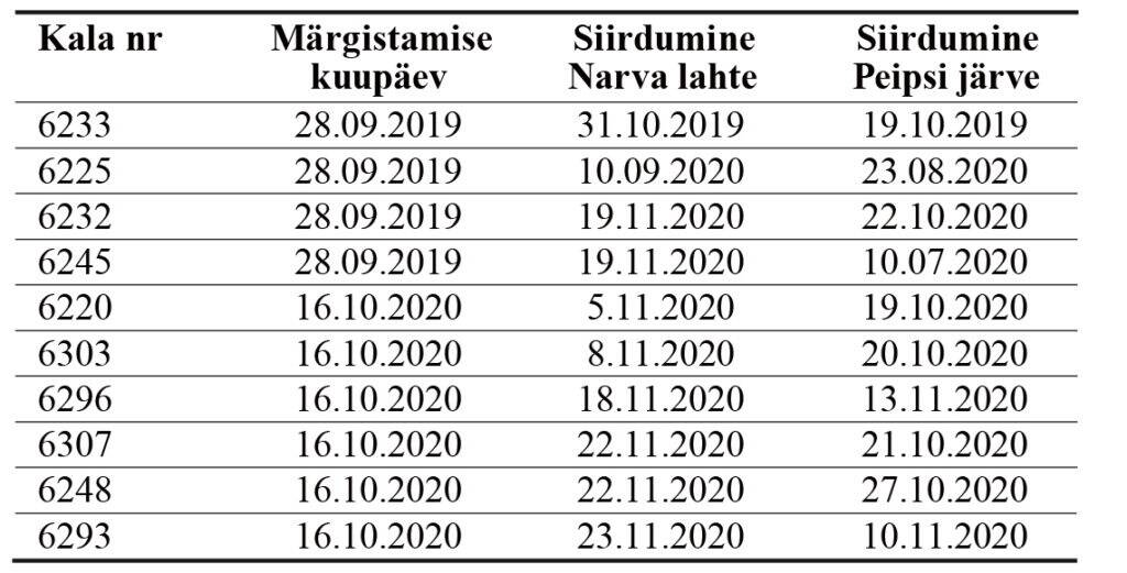 Tabel 3. Märgistatud angerjate ränne Narva jõest Läänemerre.