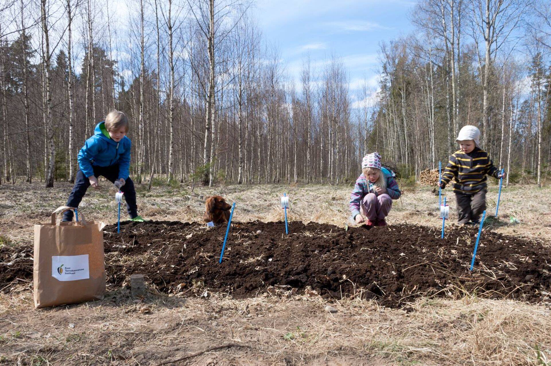 100 teraviljapeenart andsid mitu saaki