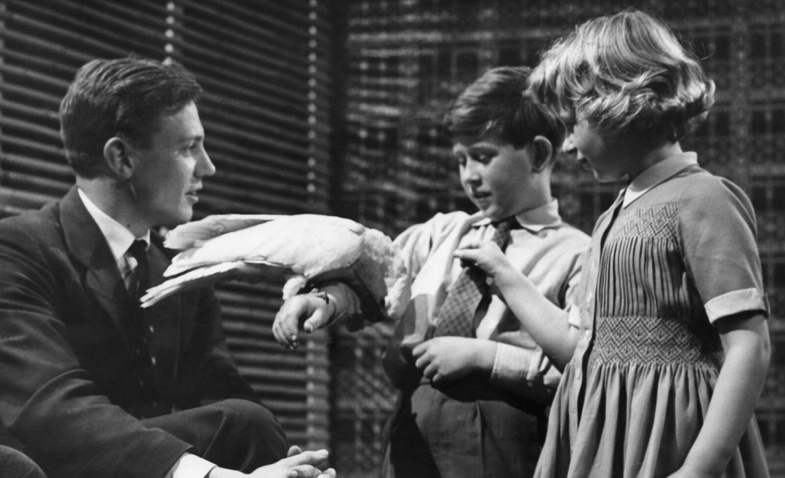 David Attenborough, kakaduu Cocky, toonane prints ja tänane Suurbritannia kuningas Charles ja printsess Anne 1958. aasta aprillis.