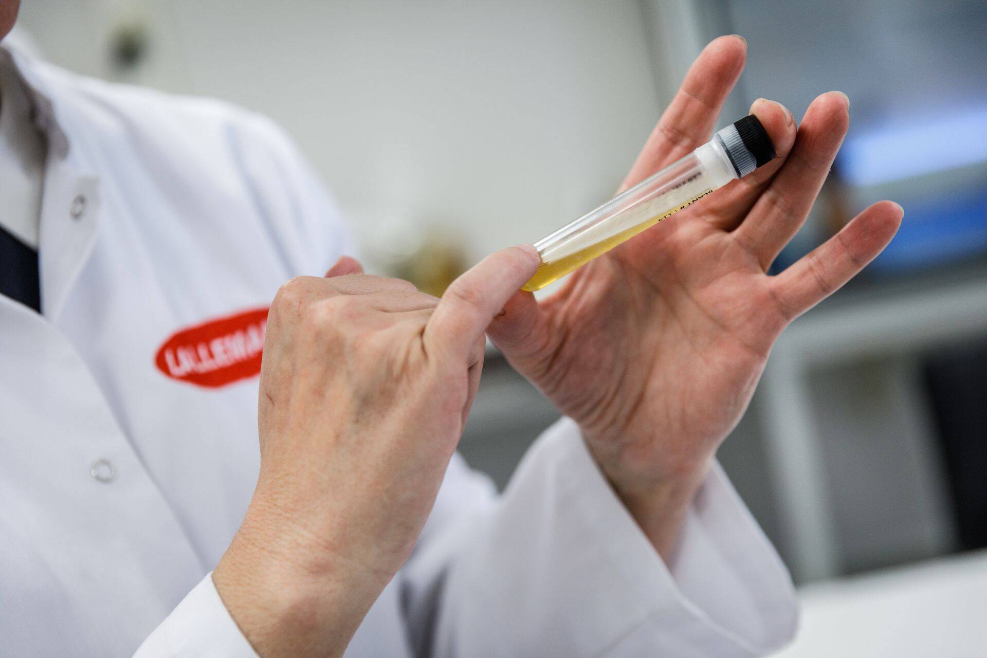 Selline näeb välja pärmitehase tooraine, mille mahutamiseks piisab ainult katseklaasist. Pärmseen on selles hall kiht, mis on ümbritsetud kollaka toitevedelikuga. Sellest valmib suur kogus pärmi saja tunniga.