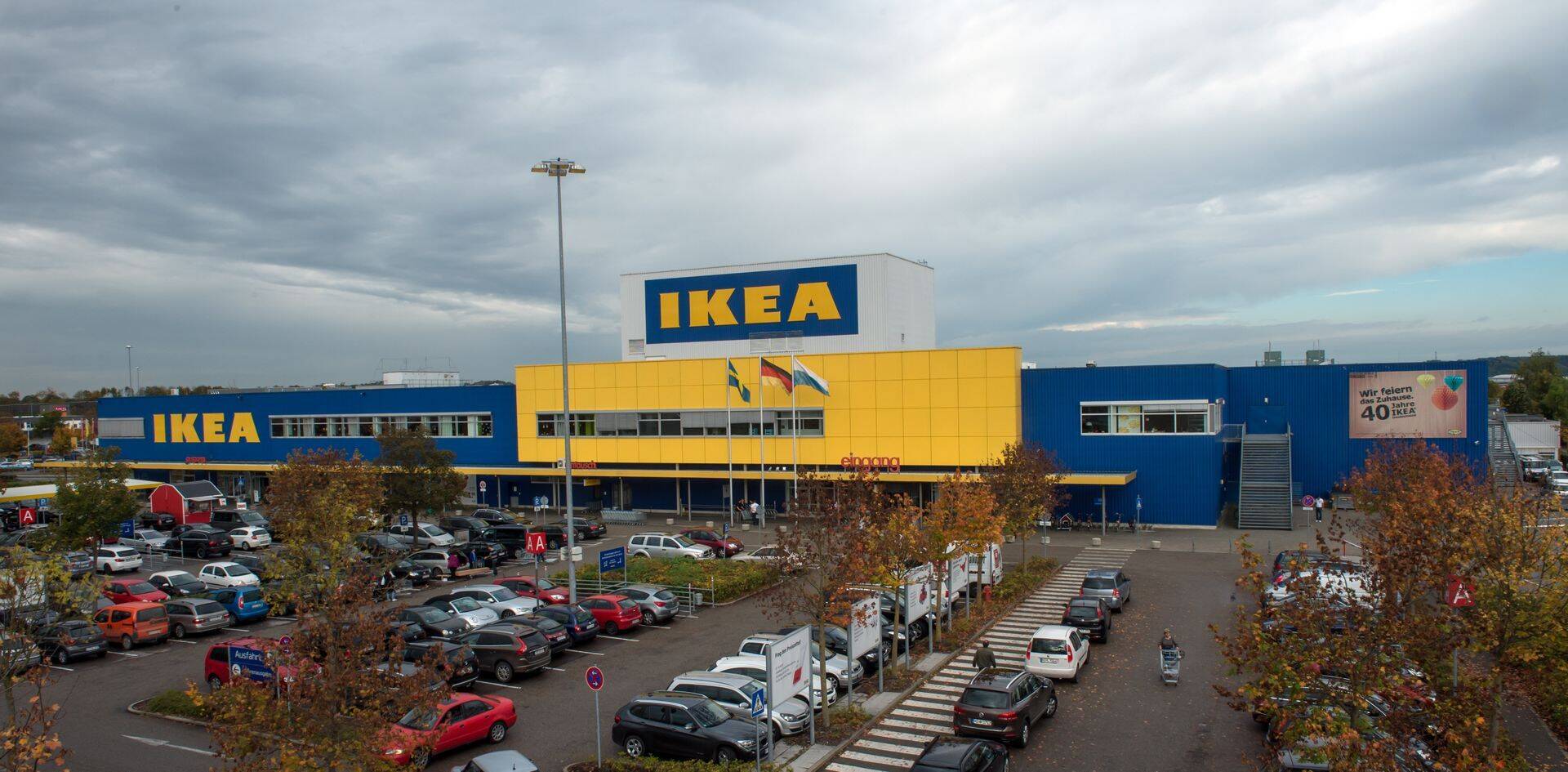 Eestis ostetud metsa kaubandushiid maha raiuda ei plaani.