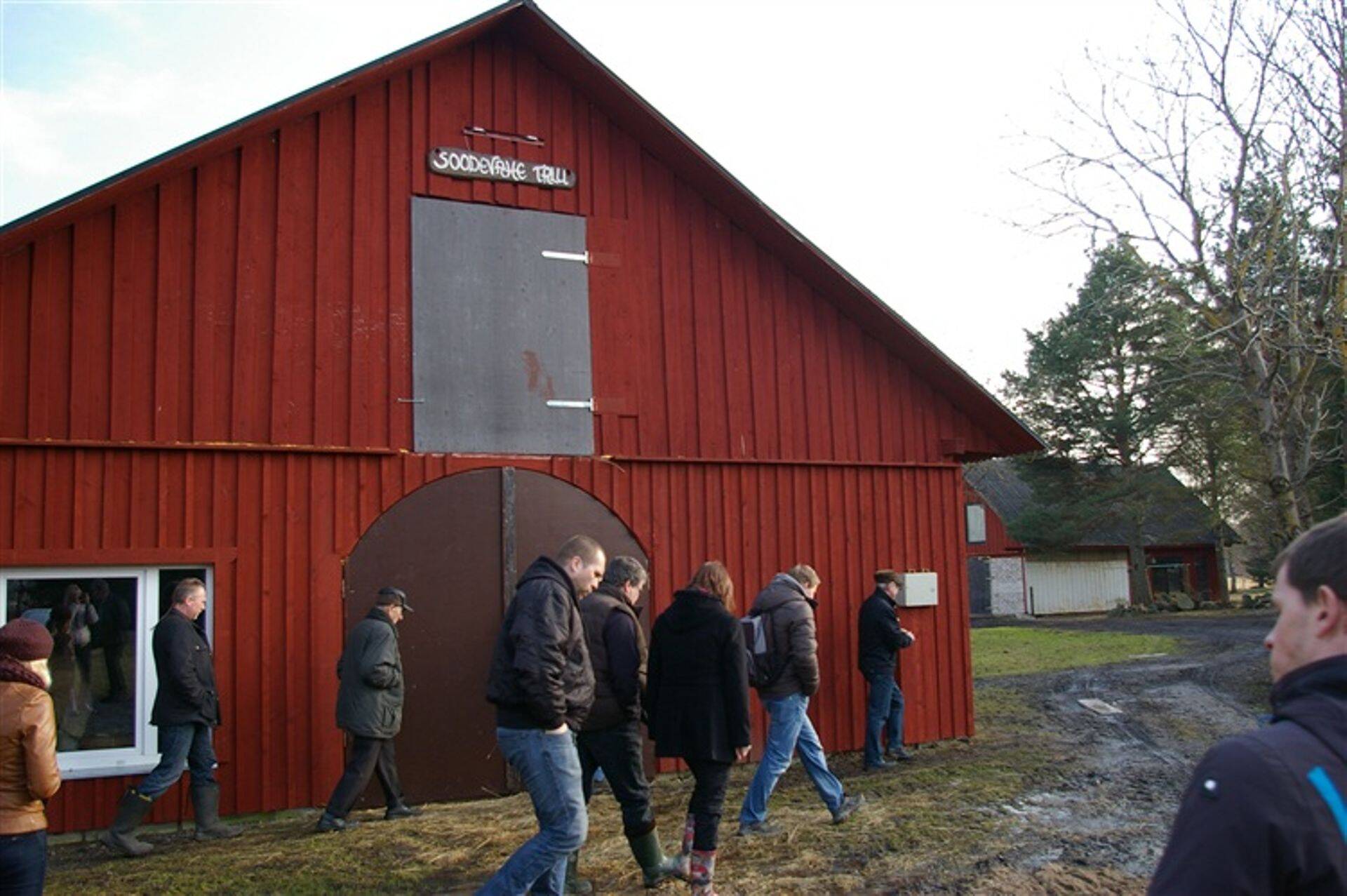 Jaanus Tõnissoni farm Soodevahe külas.