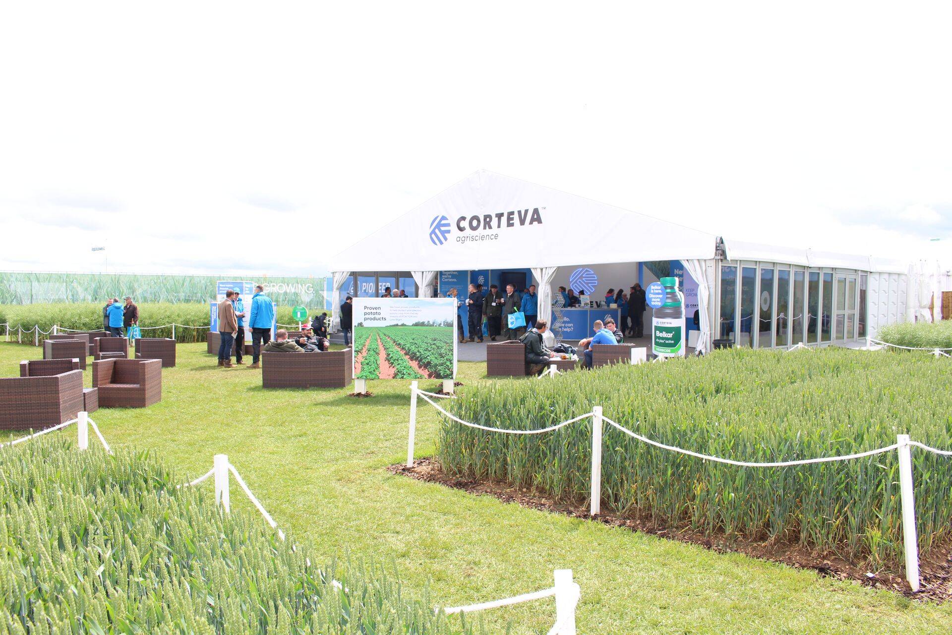 Corteva alal sai näha erinevaid rapsisorte ja katseid.