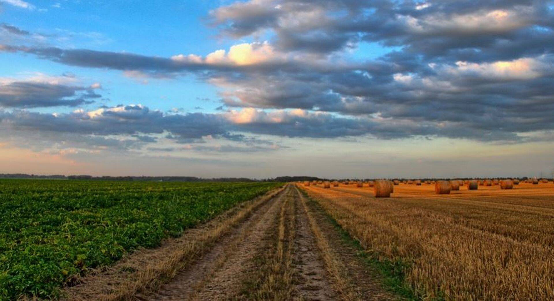 Eesti teraviljasektori lähiaastate märksõnaks kujuneb efektiivsus ja riskijuhtimine