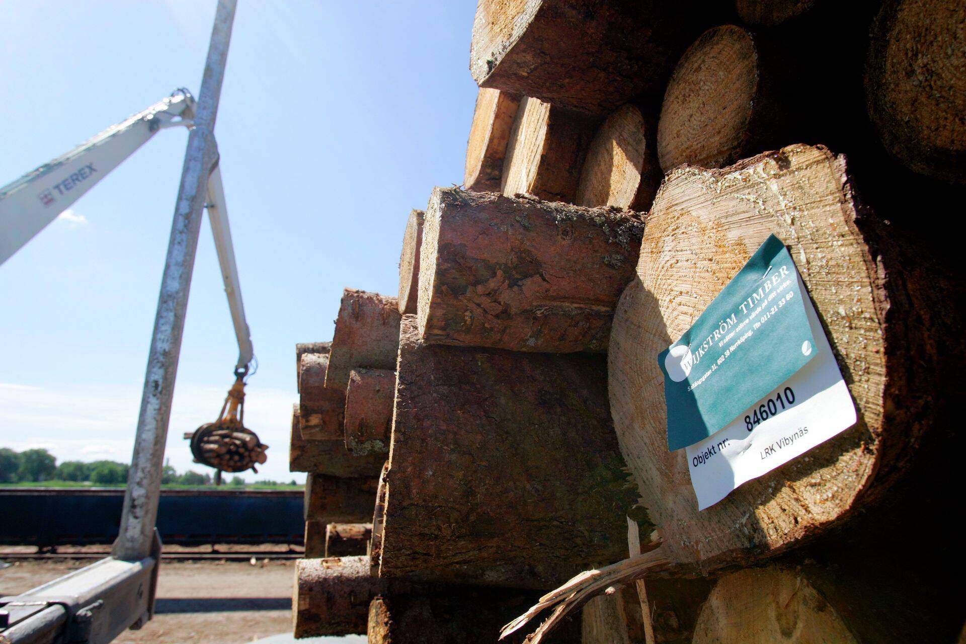 Pärnu sadamas laevalt palkide mahalaadimine.