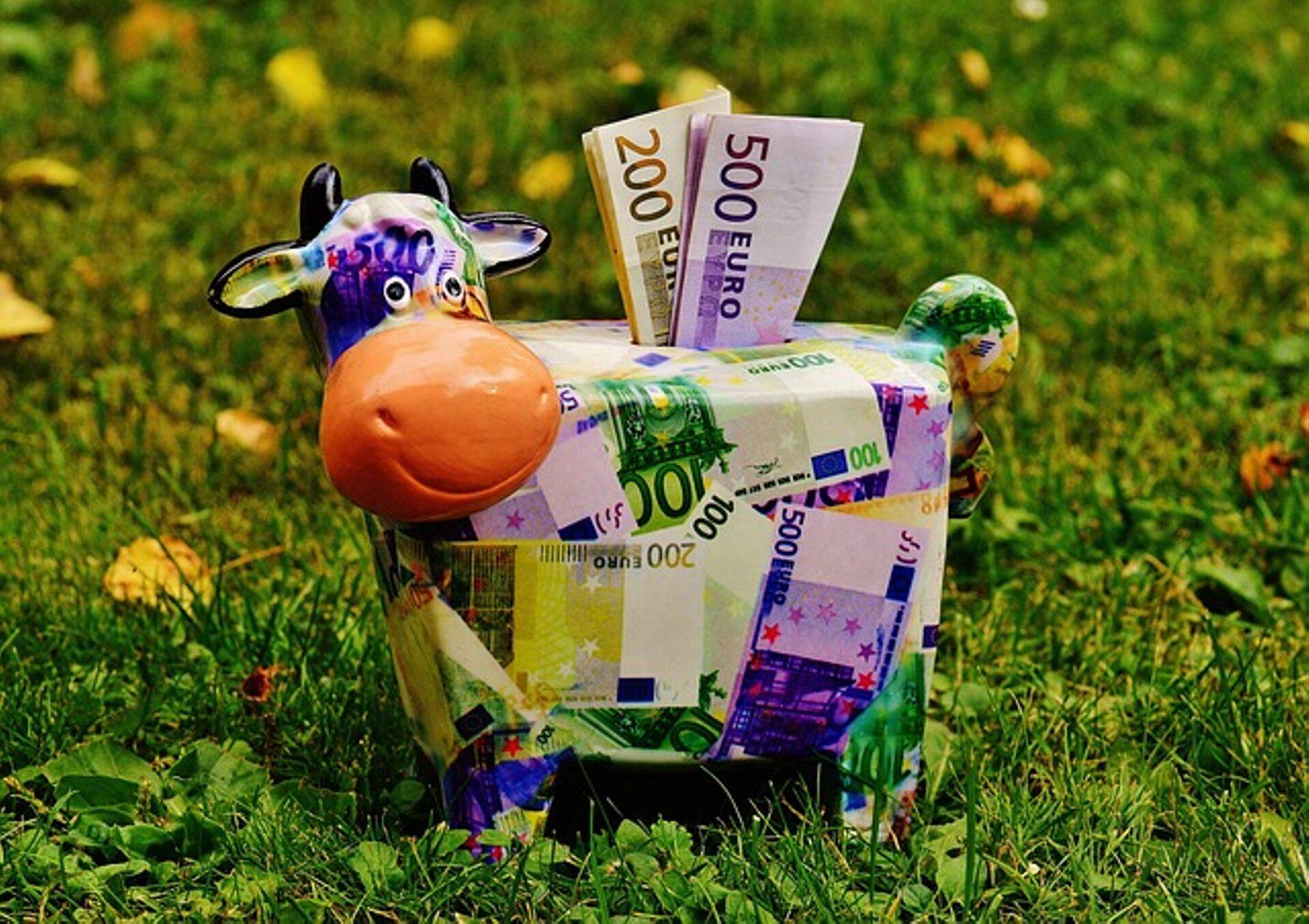 Pindala- ja maaelu arengu loomapõhiseid toetusi taotleb 13 367 klienti.