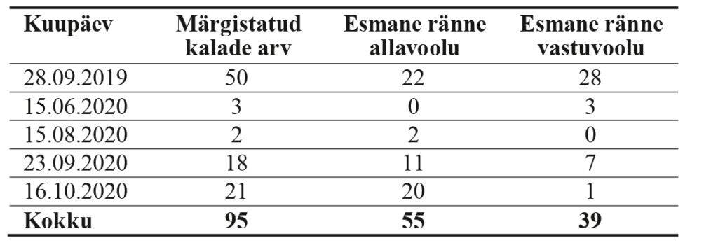 Tabel 1. Märgistatud angerjate rände esmane suunavalik pärast asustamist Emajõkke.