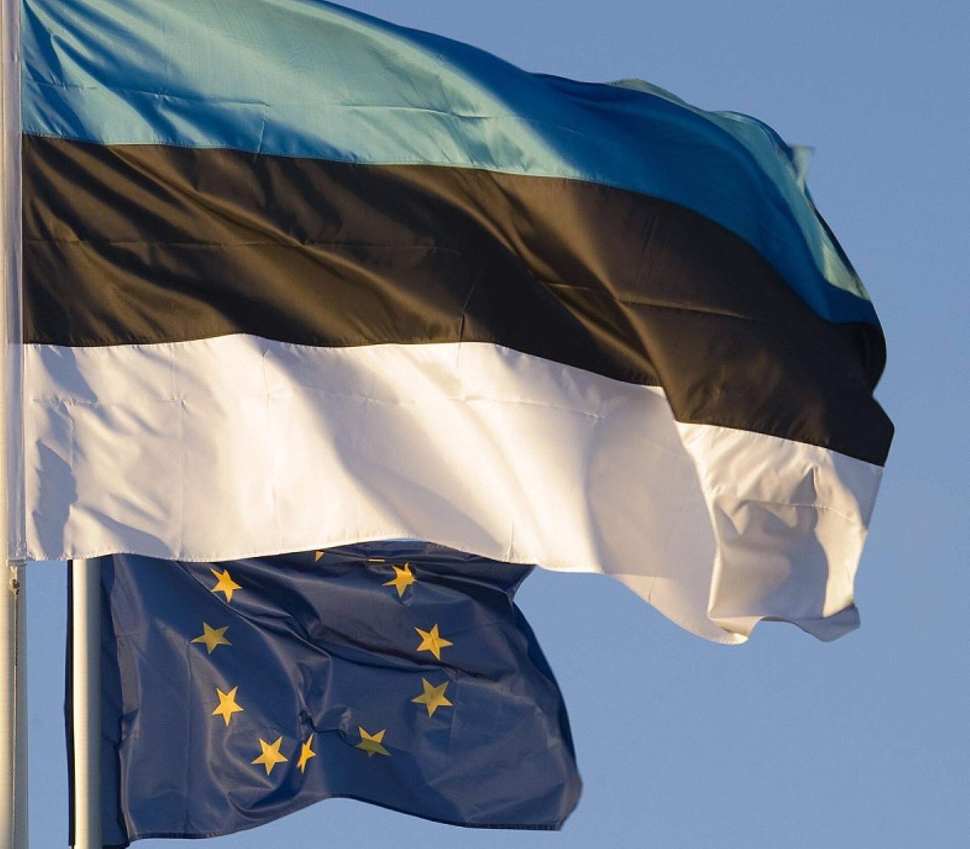 Eesti lahkumine Euroopa Liidust oleks Viking Window juhatuse liikme Toomas Agasilla sõnul rumal tegu.