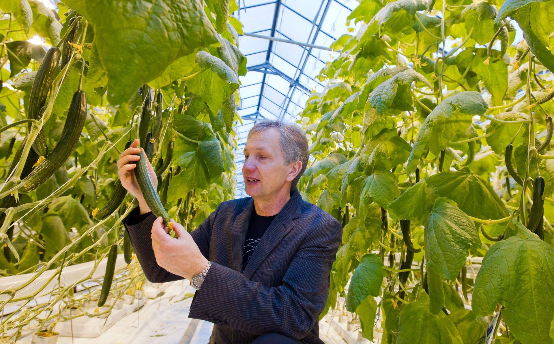 Grüne Fee juht Raivo Külasepp.