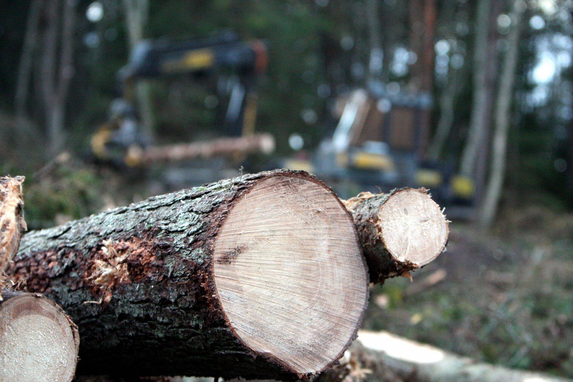 Keskkonnaagentuuri vastus EMAle: uurime kaebuse paikapidavust