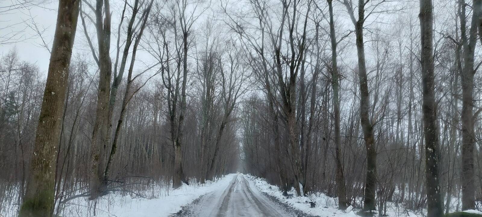 Toetust saab ka kinnistuni viiva juurdepääsutee kordategemiseks.