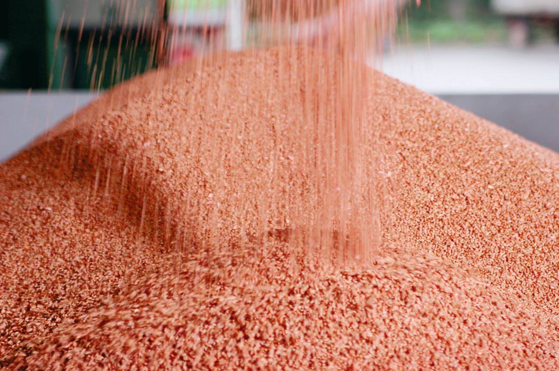 BARITON SUPER – puhtimisvahend, mis kindlustab taliteraviljade talvitumise.