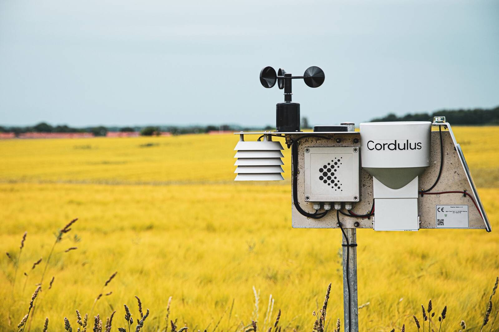 Baltic Agro täisautomaatne põlluilmajaam Cordulus aitab põllumehel teha õigeid valikuid.
