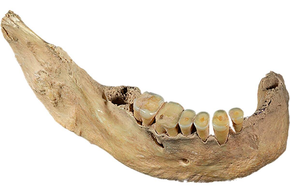 © Shaoguang Zhang / Institute of Vertebrate Paleontology and Paleoanthropology