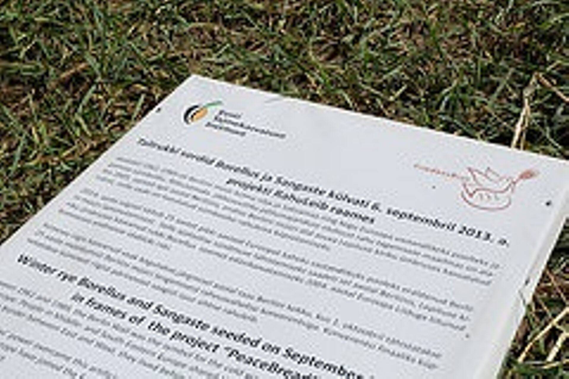 Jõgeval lõigati Euroopa rahurukist