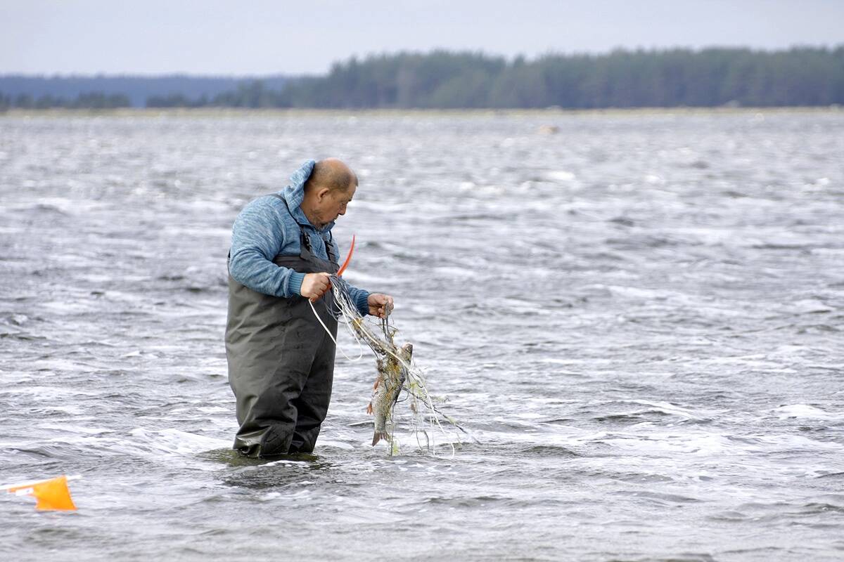 2024. aastal väljastati harrastusliku nakkevõrguga püügiks 23 640 kalastuskaarti.