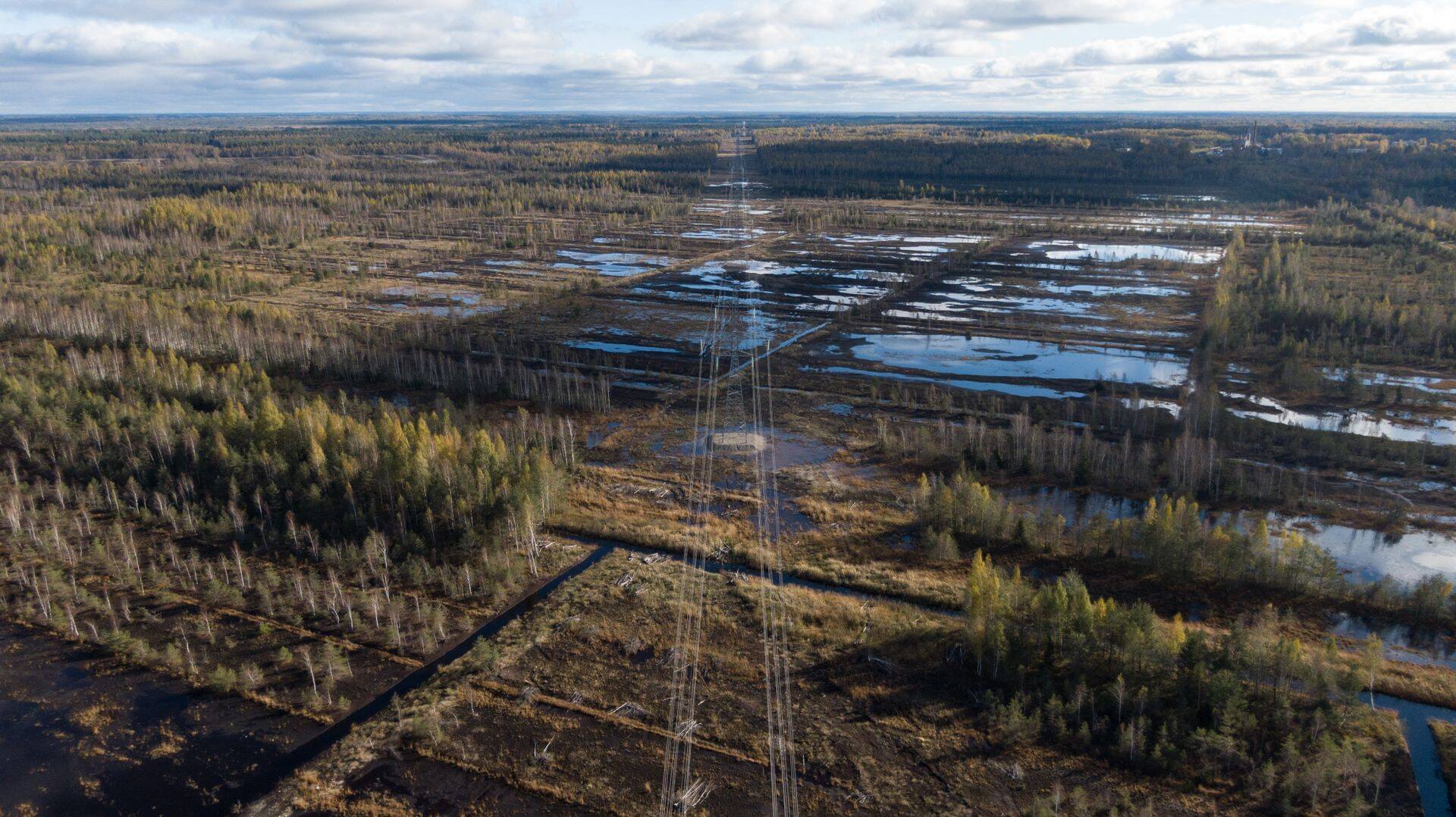 Must-toonekure pesale ei tohiks elektrituulikut ehitada lähemale kui 2 kilomeetrit. Selline pesa jäi esialgu piisavalt kaugele, kuid kaks aastat tagasi avastati uus pesa vähem kui 500 meetri kauguselt.