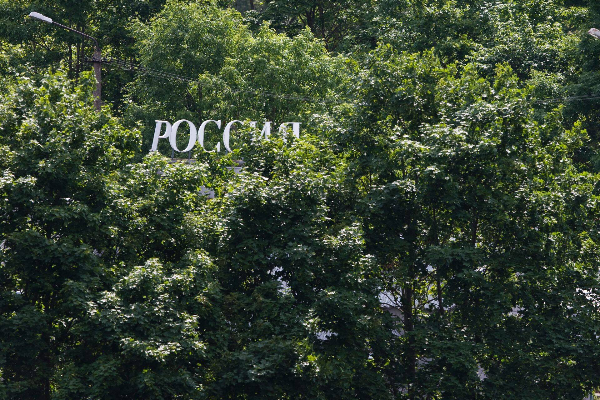 Enamiku ELi idapiiril tegutsevate inimsmugeldajate klientidest moodustavad Vietnami kodanikud.