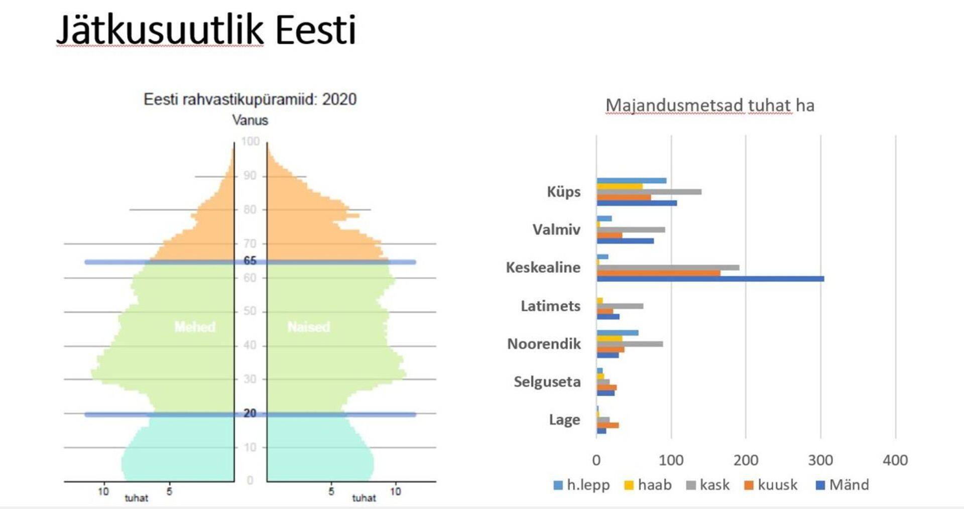 Jätkusuutlik Eesti. Andres Talijärv, Maaelufoorum 2019 Foto: Eesti Erametsaliit MTÜ