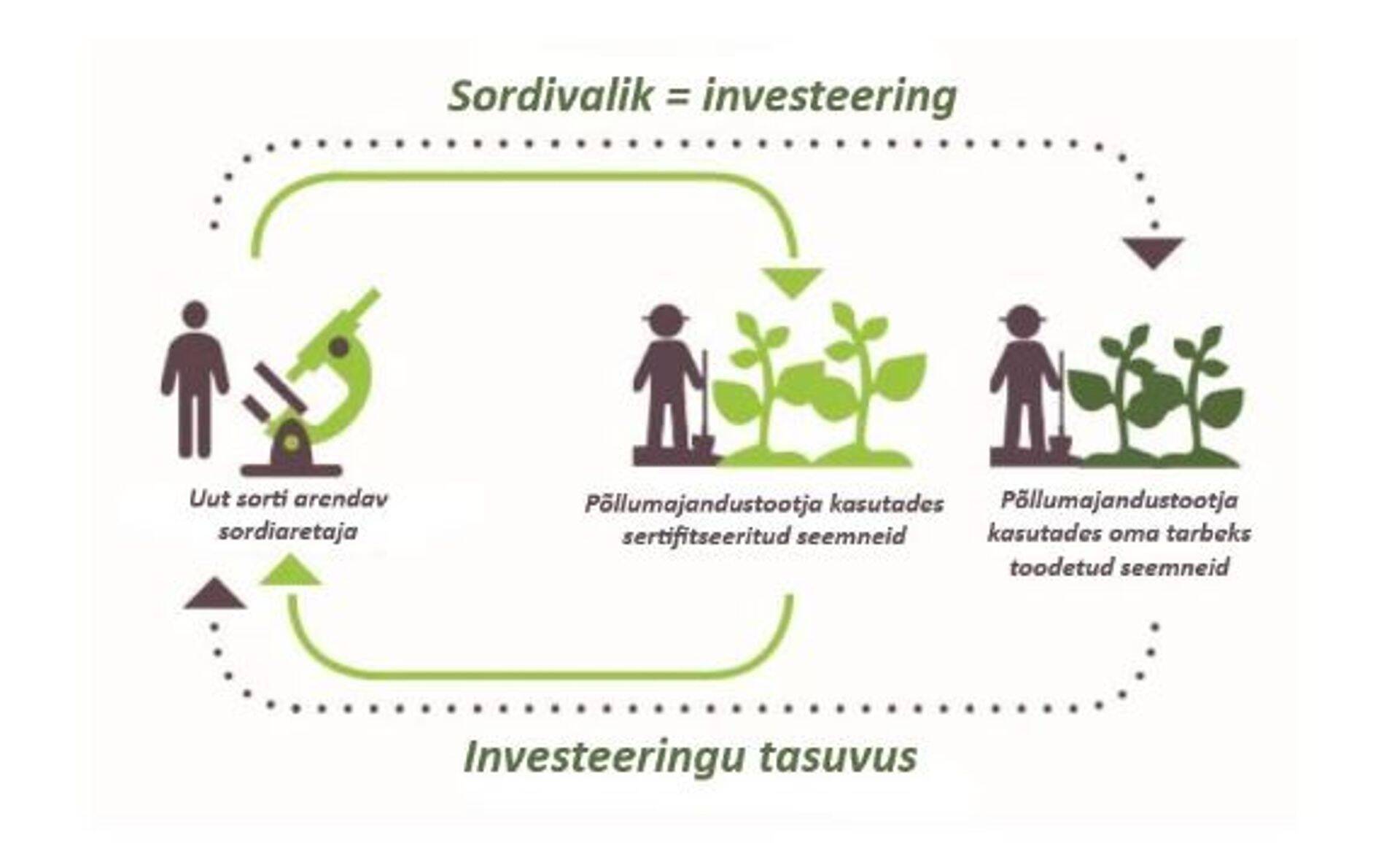 Sordivalik = investeering
