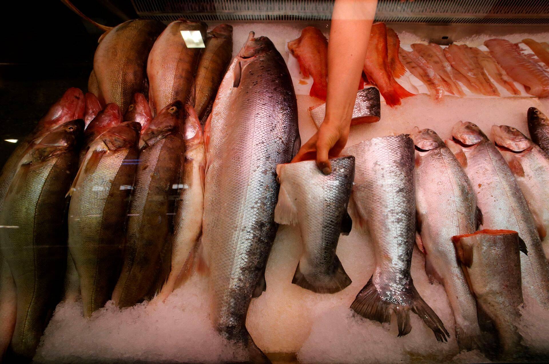 Atlandi lõhe hind on viimasel ajal korralikult tõusnud.