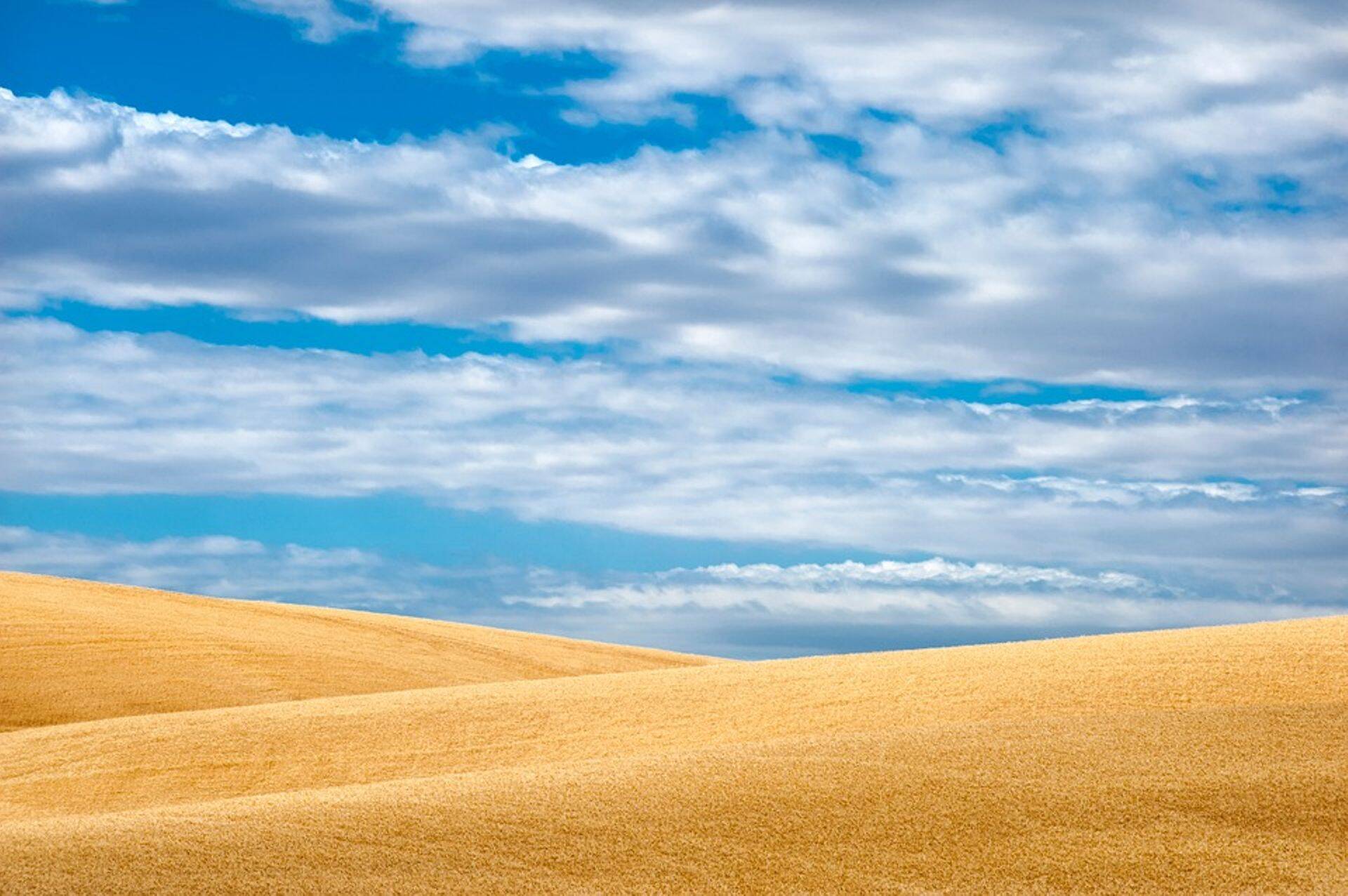 Ekspordimahtude kasvule aitasid kaasa ka kõrgemad nisuhinnad