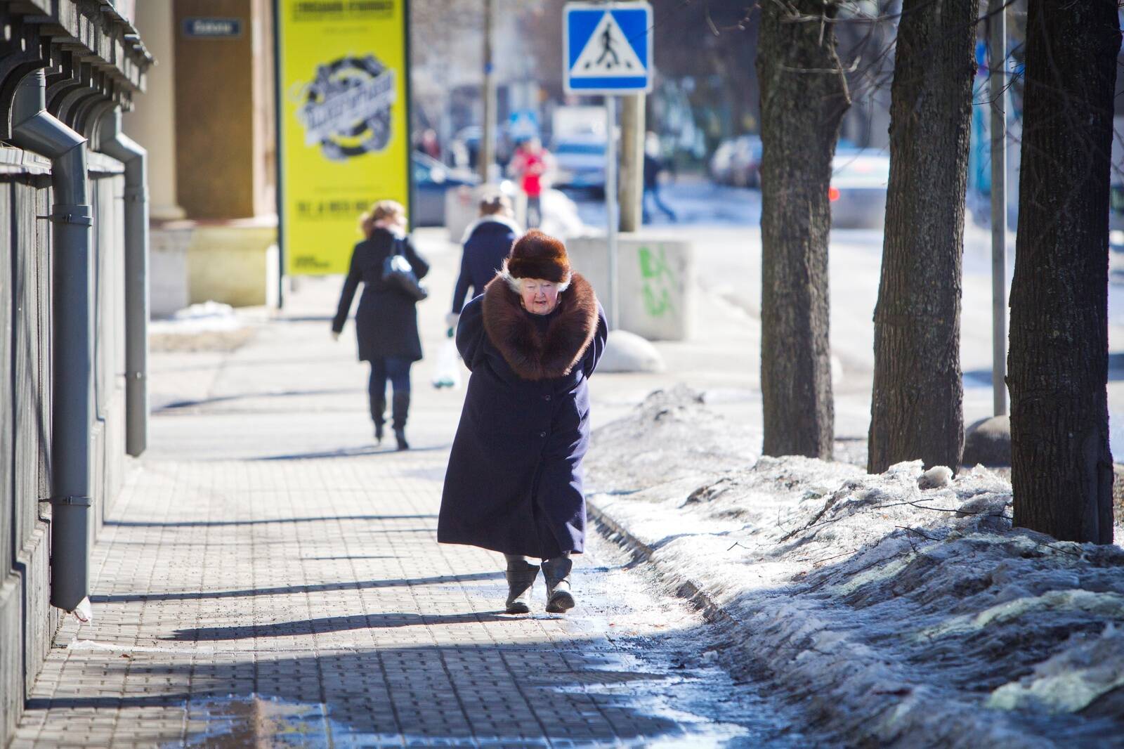 Среди работающих пенсионеров в Эстонии 31,6% в качестве основной причины такого шага назвали финансовую необходимость.