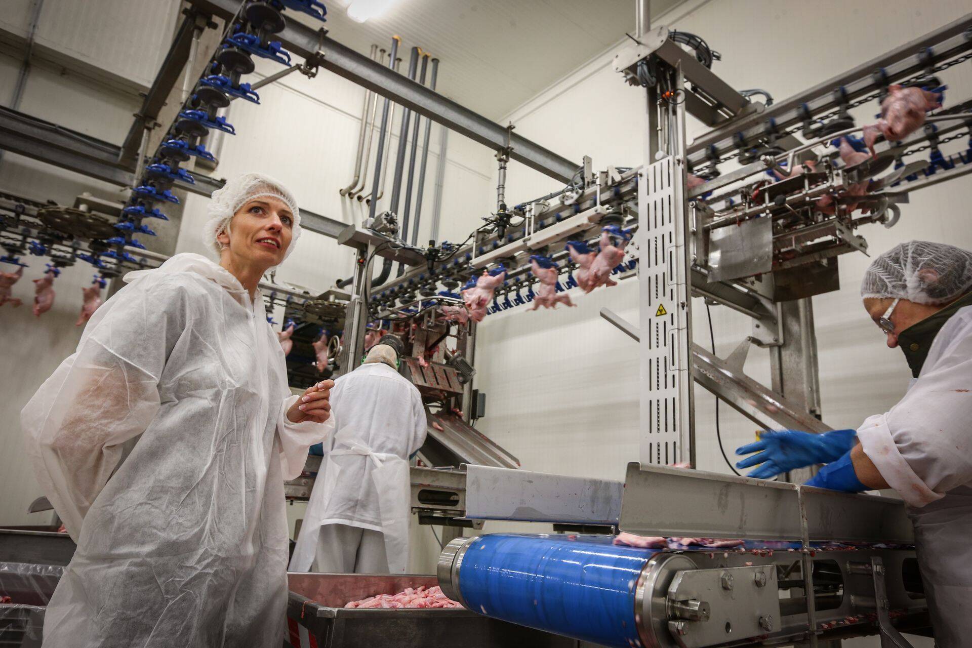 HKScan Grupi turundusjuht Anne Mere.