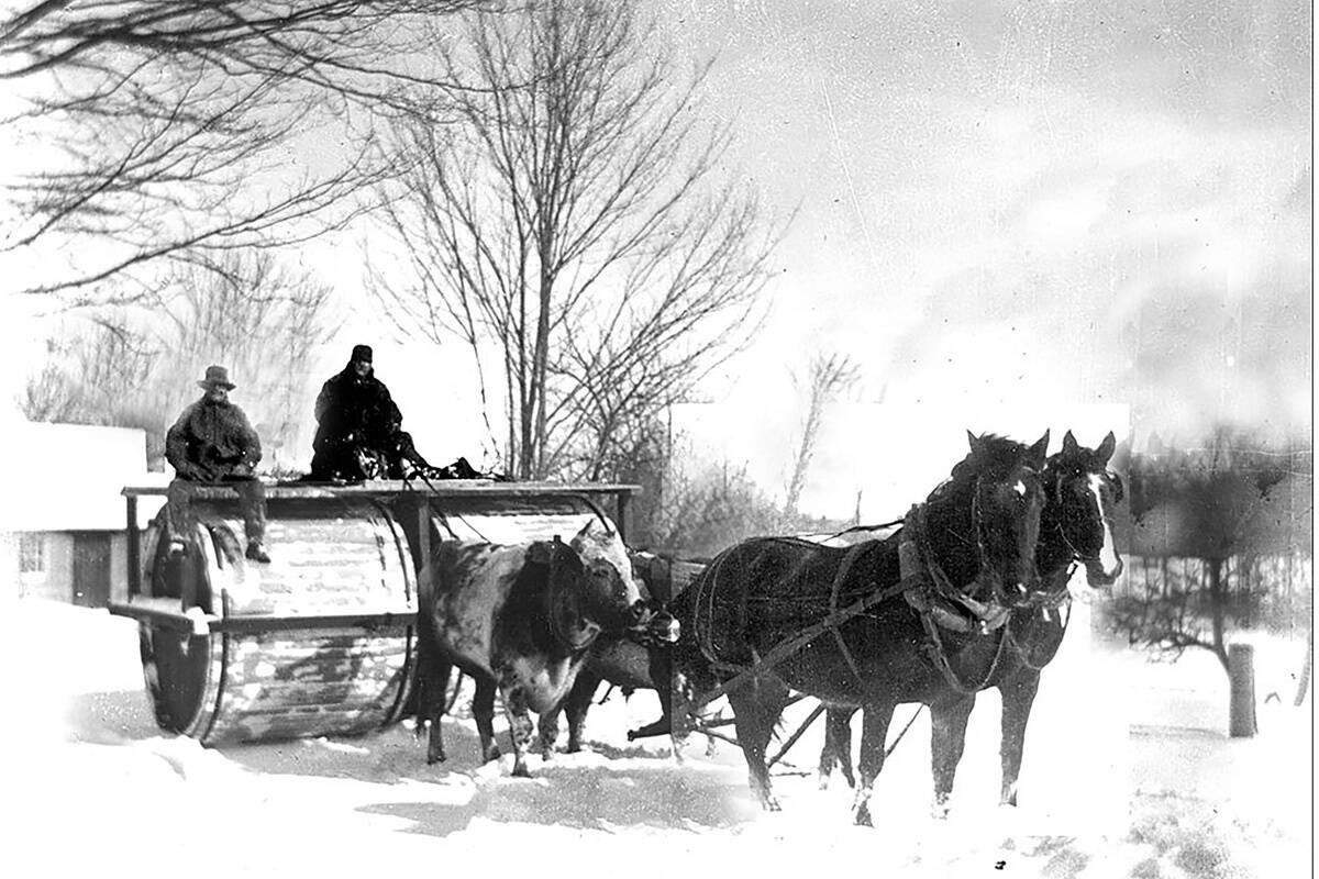 © Keene Public Library HSCC / Mary E. Robbe