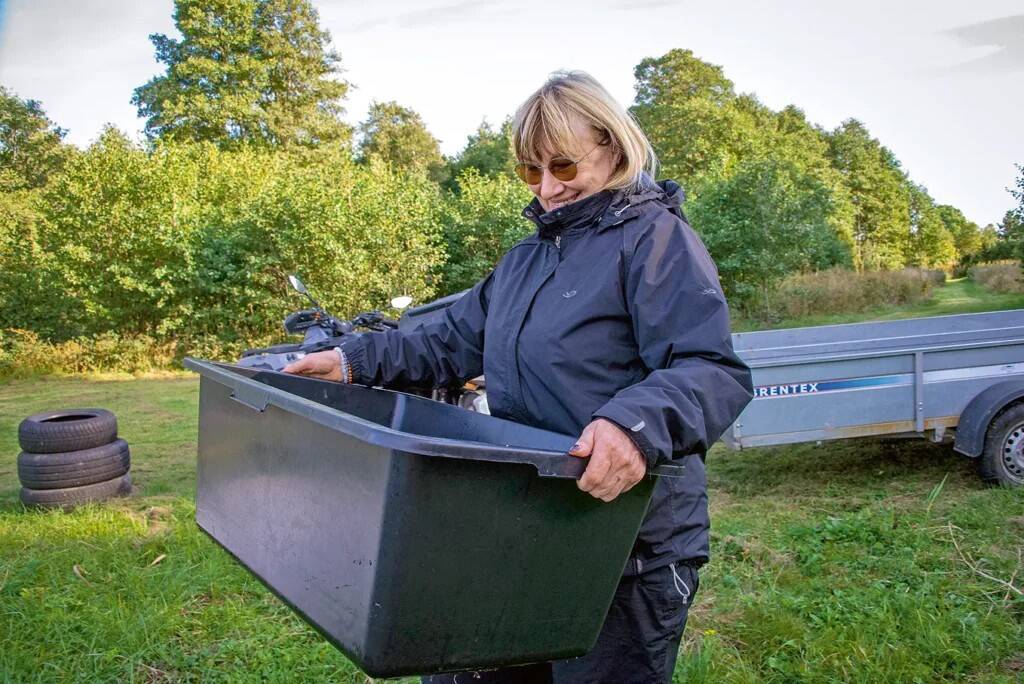 Kui kellelgi peaks tekkima soov angerjaid asustada, on Liili lahkesti nõus oma kogemusi jagama.