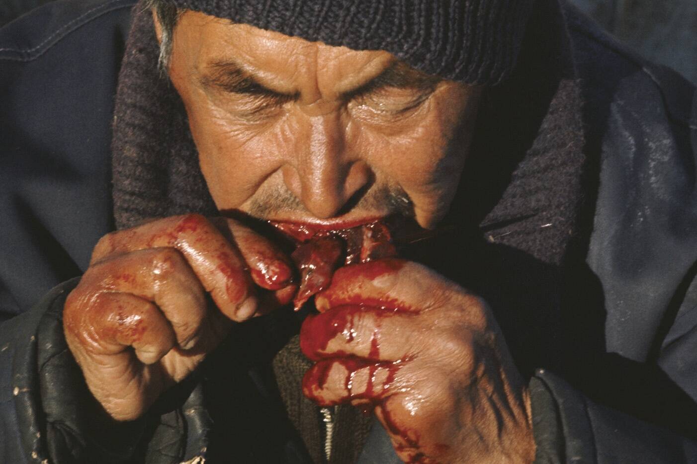 Kas inuitid ei haigestunud skorbuuti?