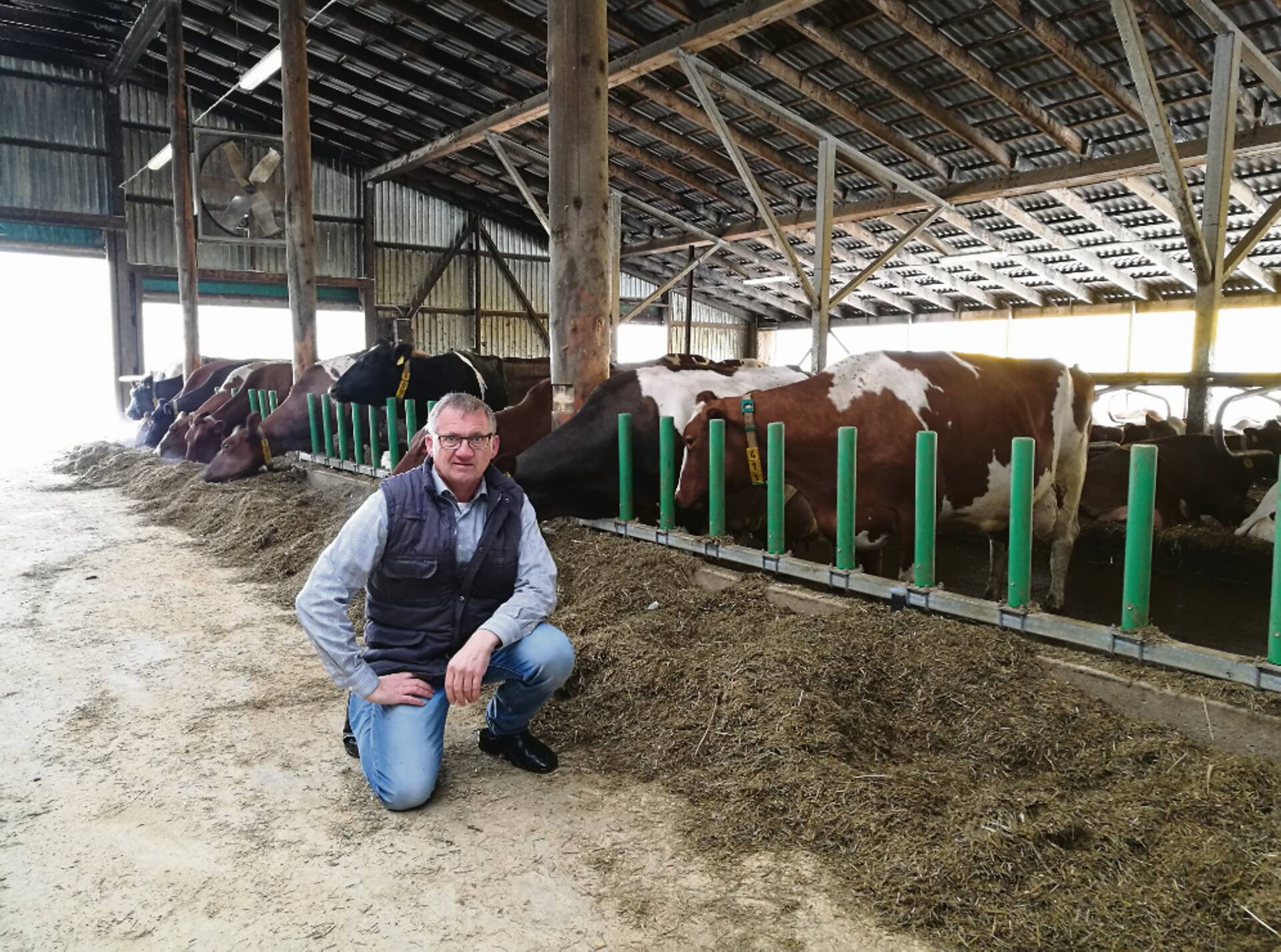Cow-Welfare asutaja ja väljatöötaja Tommy Wollesen FLEX FEED™ söödapiirde taustal Kõljala POÜ farmis Saaremaal.