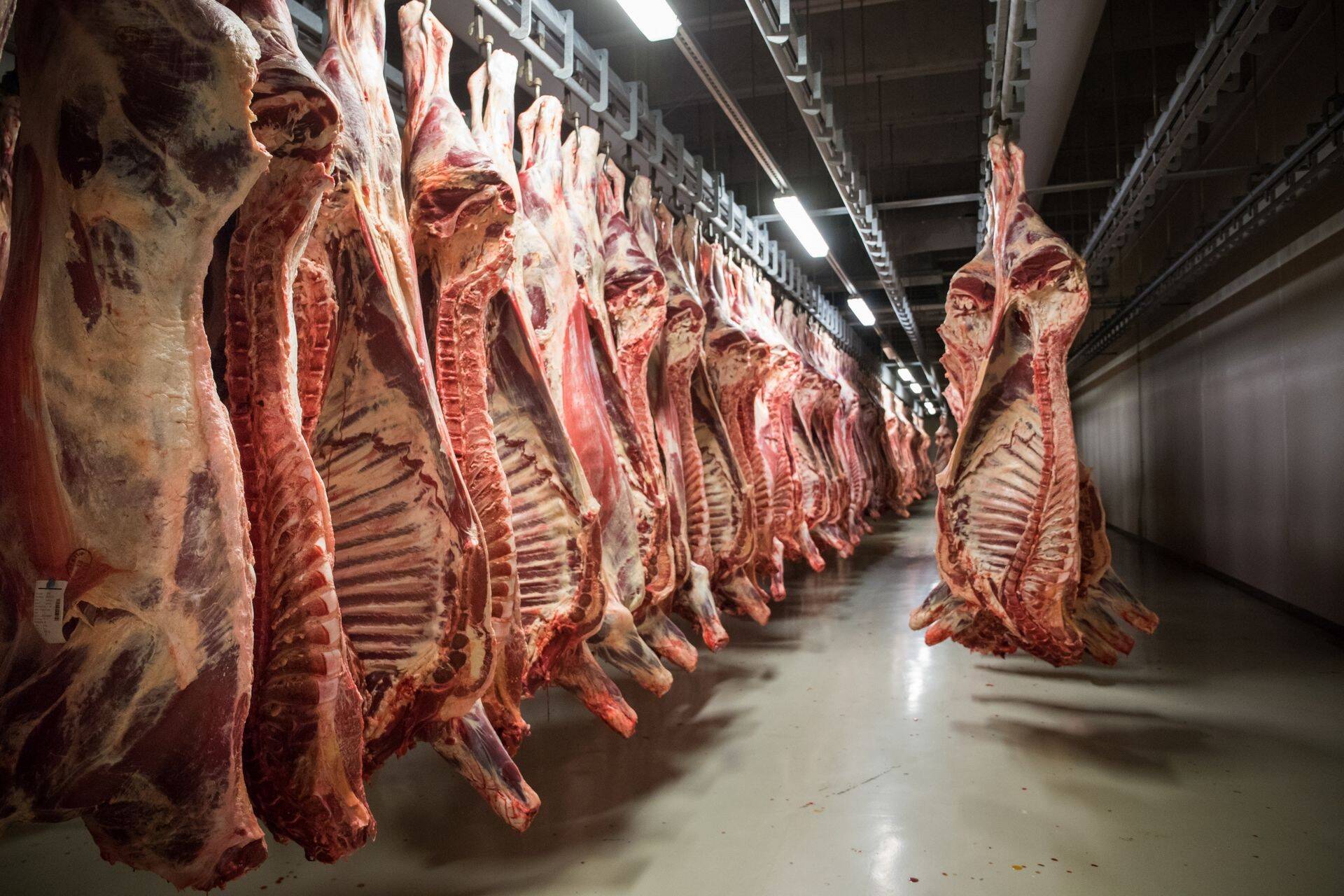 HKScan tahab välja lasta hübriidvõlakirja