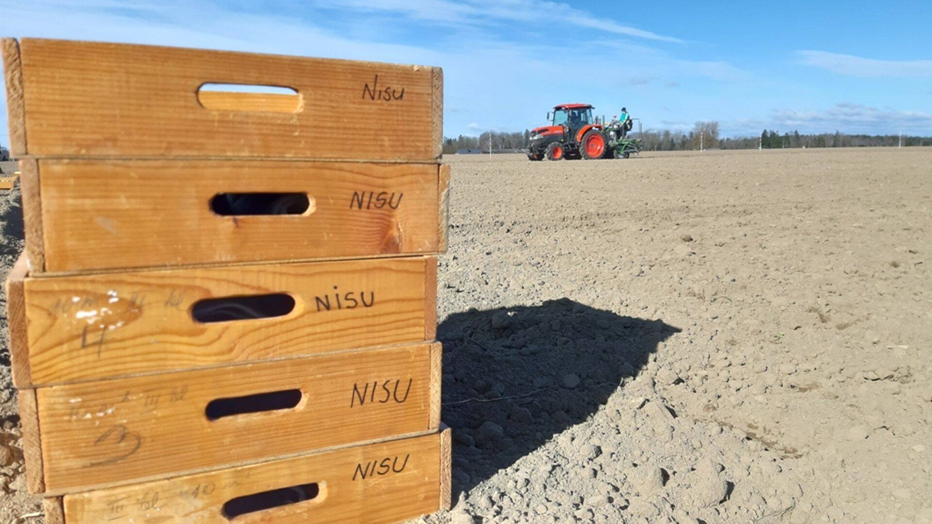 ETKI tänavused katsepõllud on rajatud. Fotod: Reine Koppel ja Riivo Sepp.