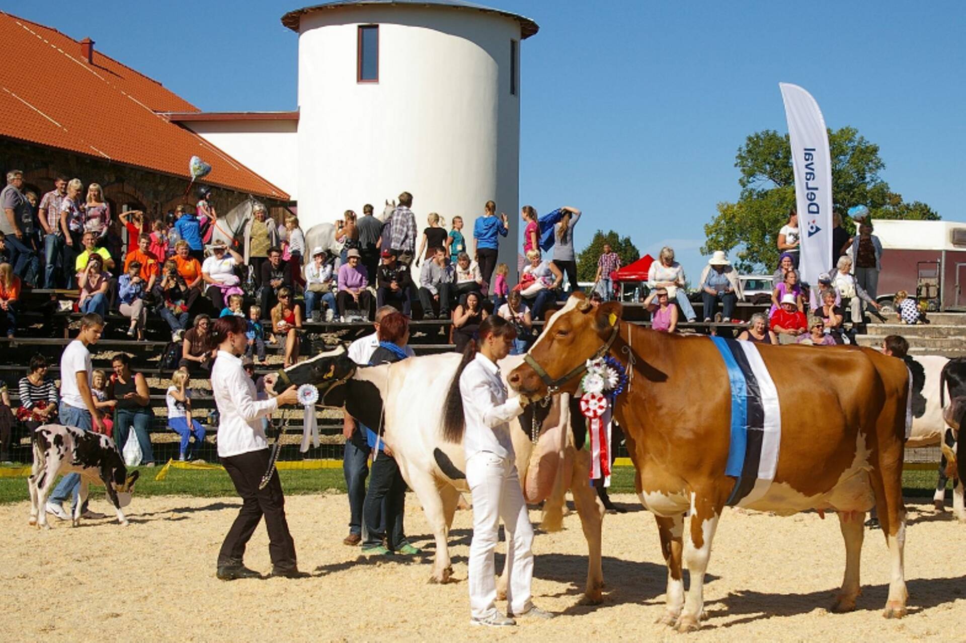 Tartu Agro lehmadon sageli esikohti saavutanud