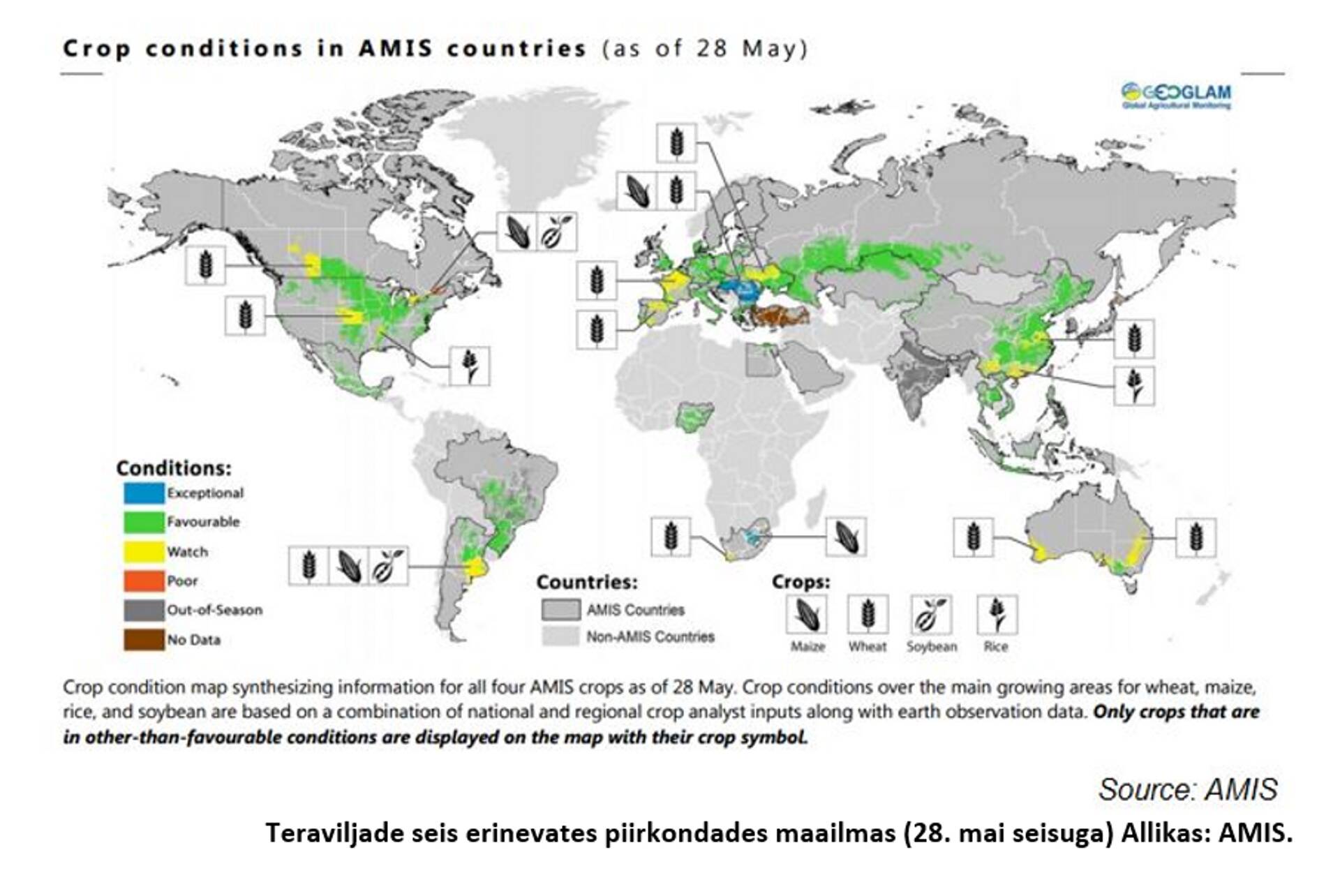 Teraviljade seis erinevates piirkondades maailmas