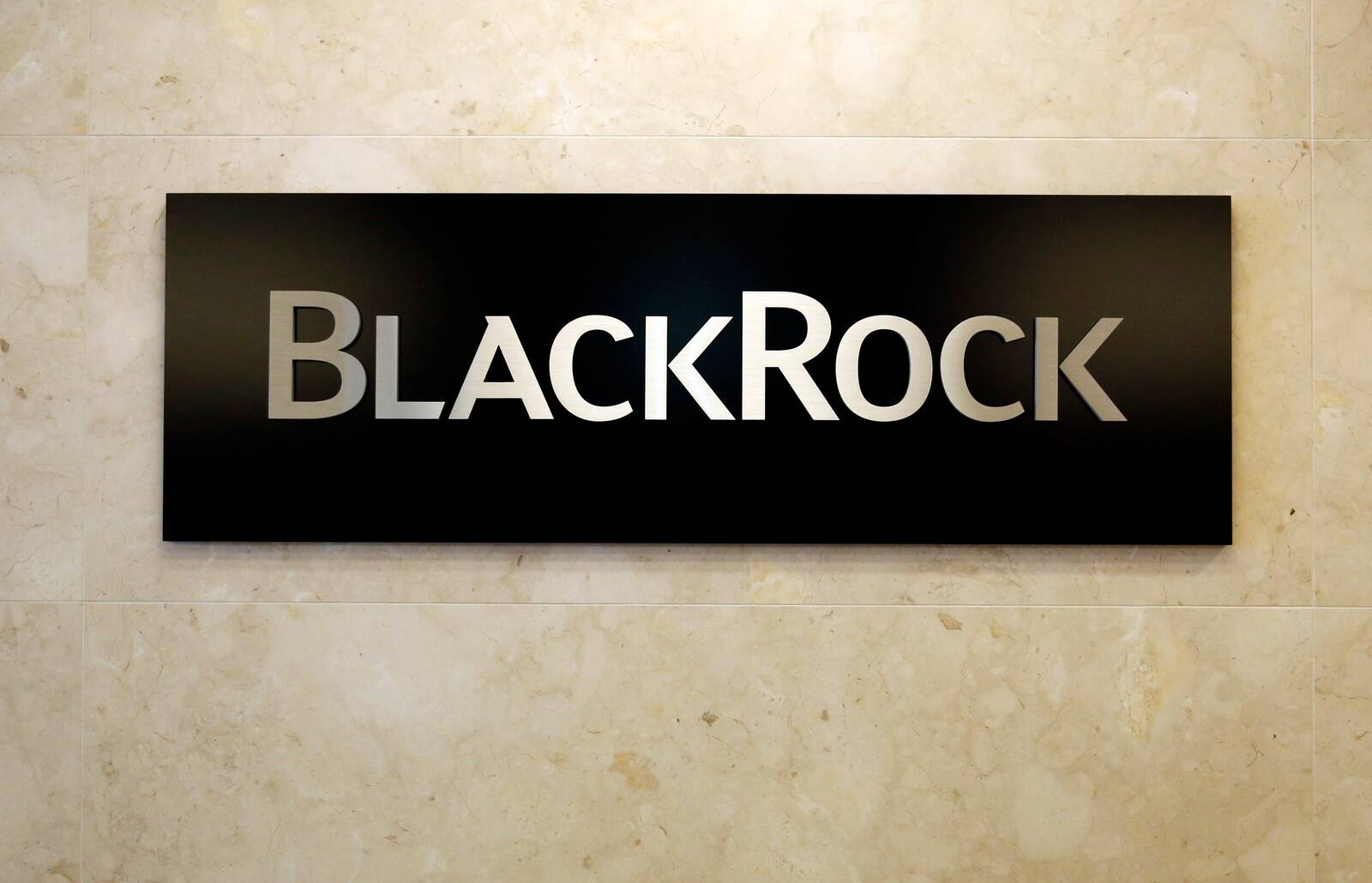 Инвестиционная компания BlackRock является крупнейшей в мире по объему управляемых активов ETF фондов. Объемы составляют почти 3 триллиона долларов.